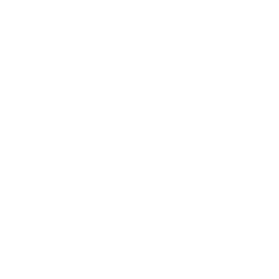 vision